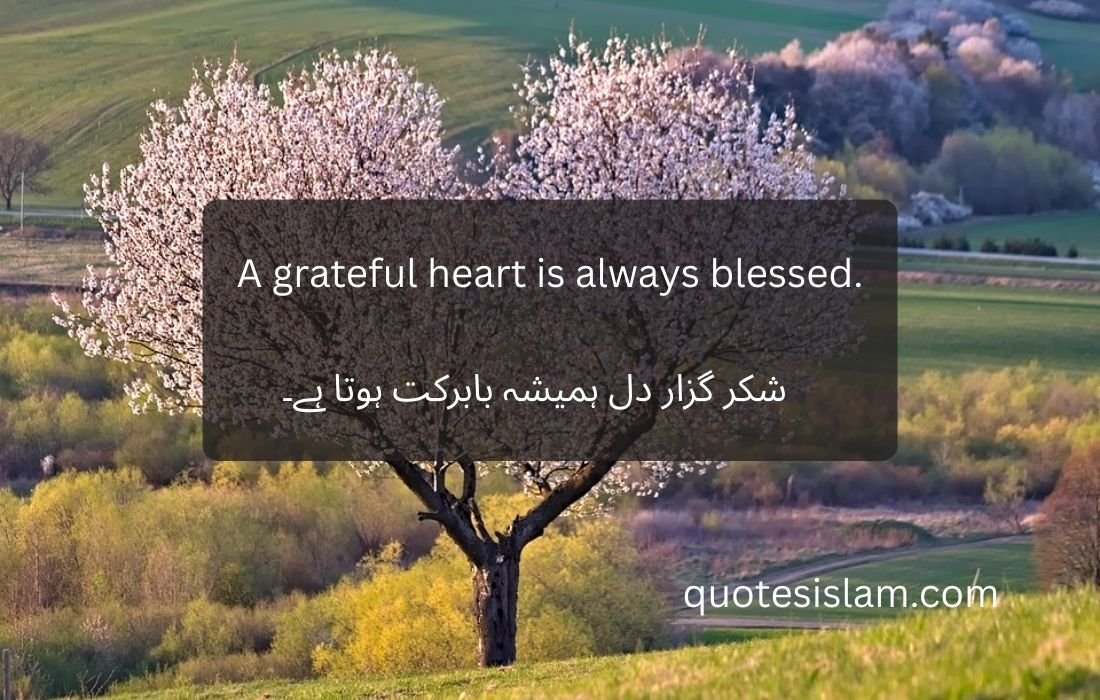 A grateful heart is always blessed.