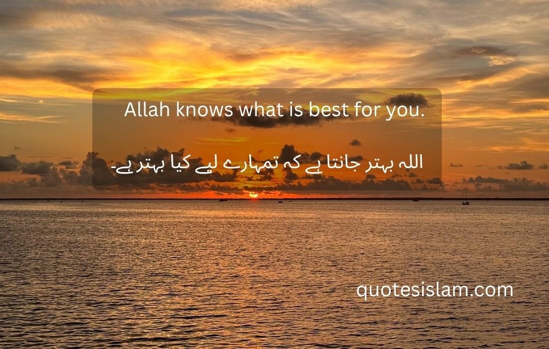 Allah knows what is best for you.