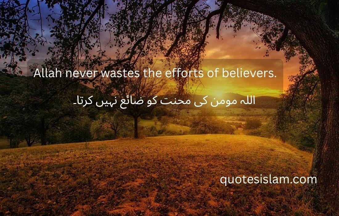 Allah never wastes the efforts of believers.