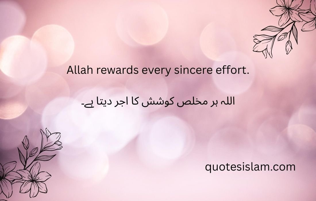 Allah rewards every sincere effort.