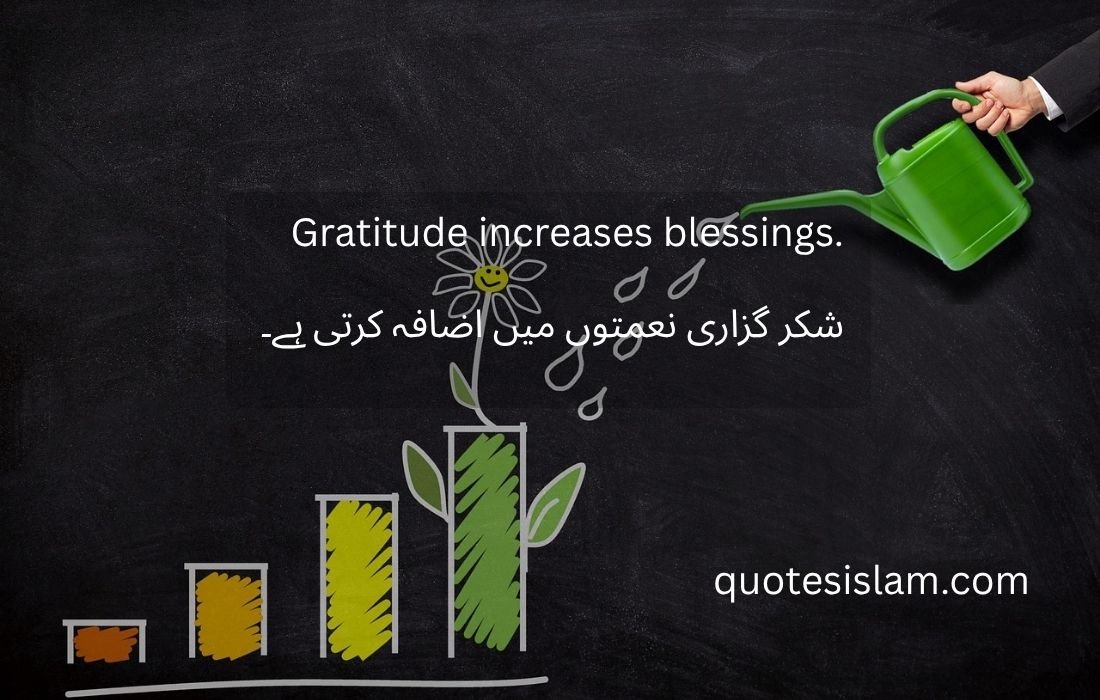 Gratitude increases blessings.