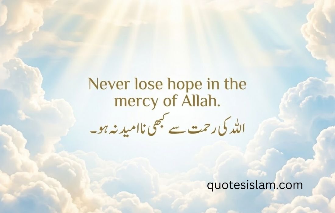 Never lose hope in the mercy of Allah