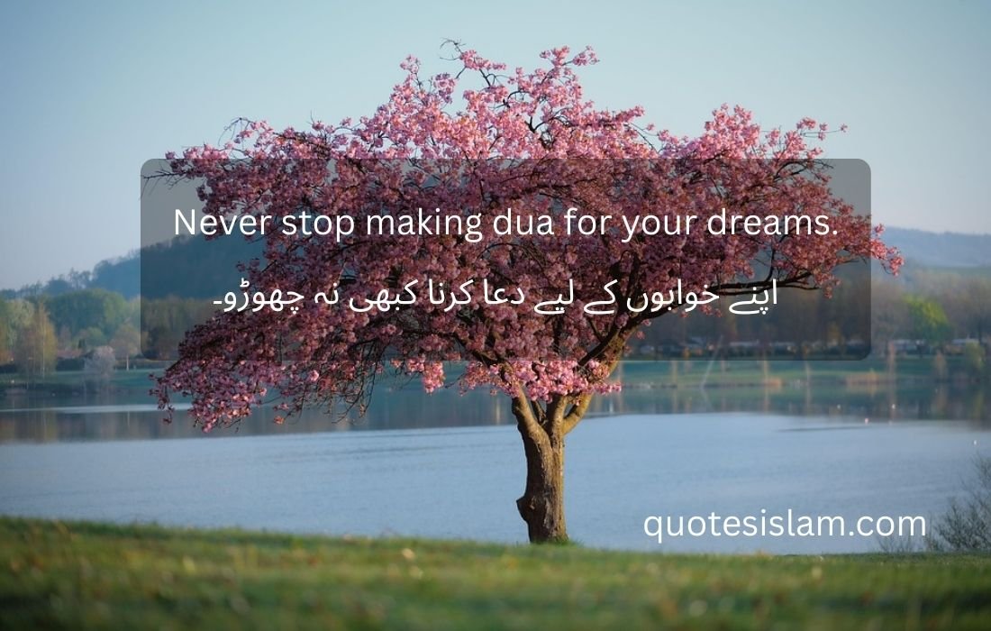Never stop making dua for your dreams.