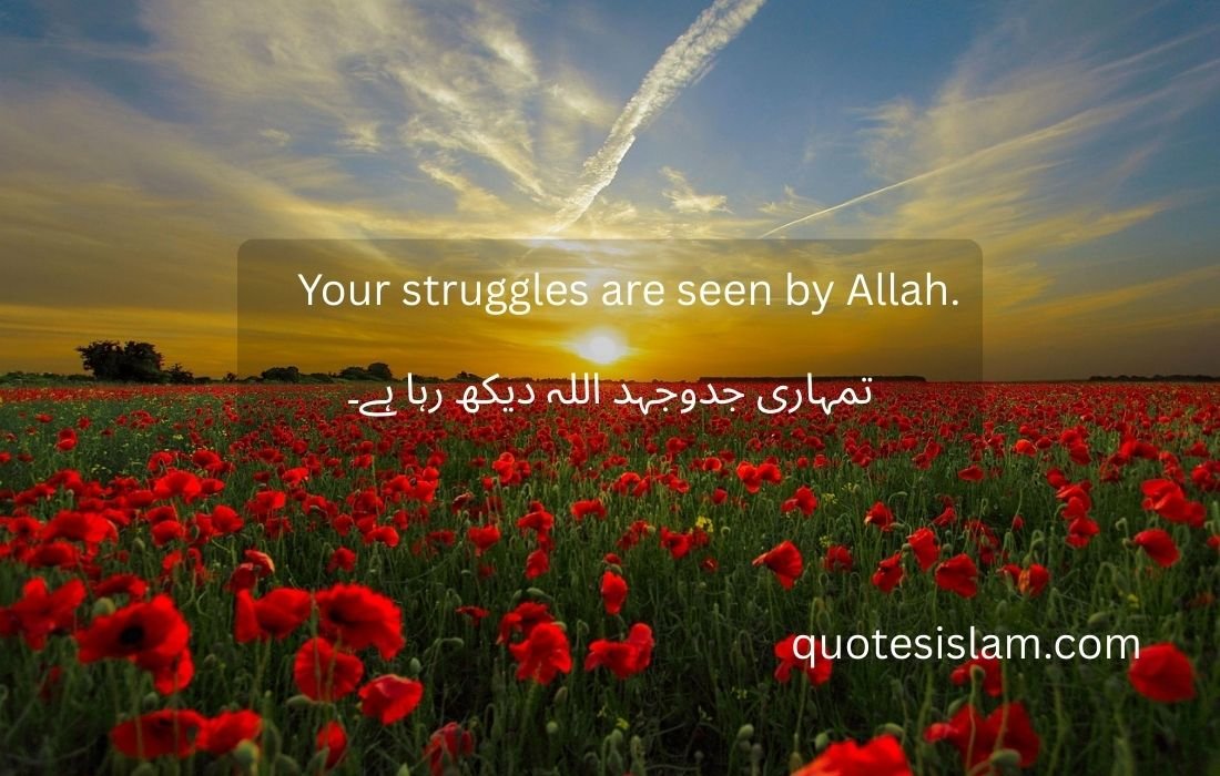 Your struggles are seen by Allah.