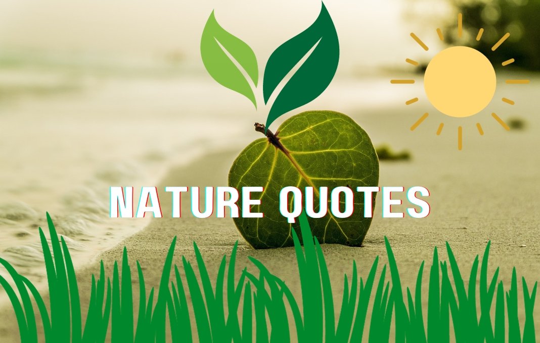 NATURE QUOTES