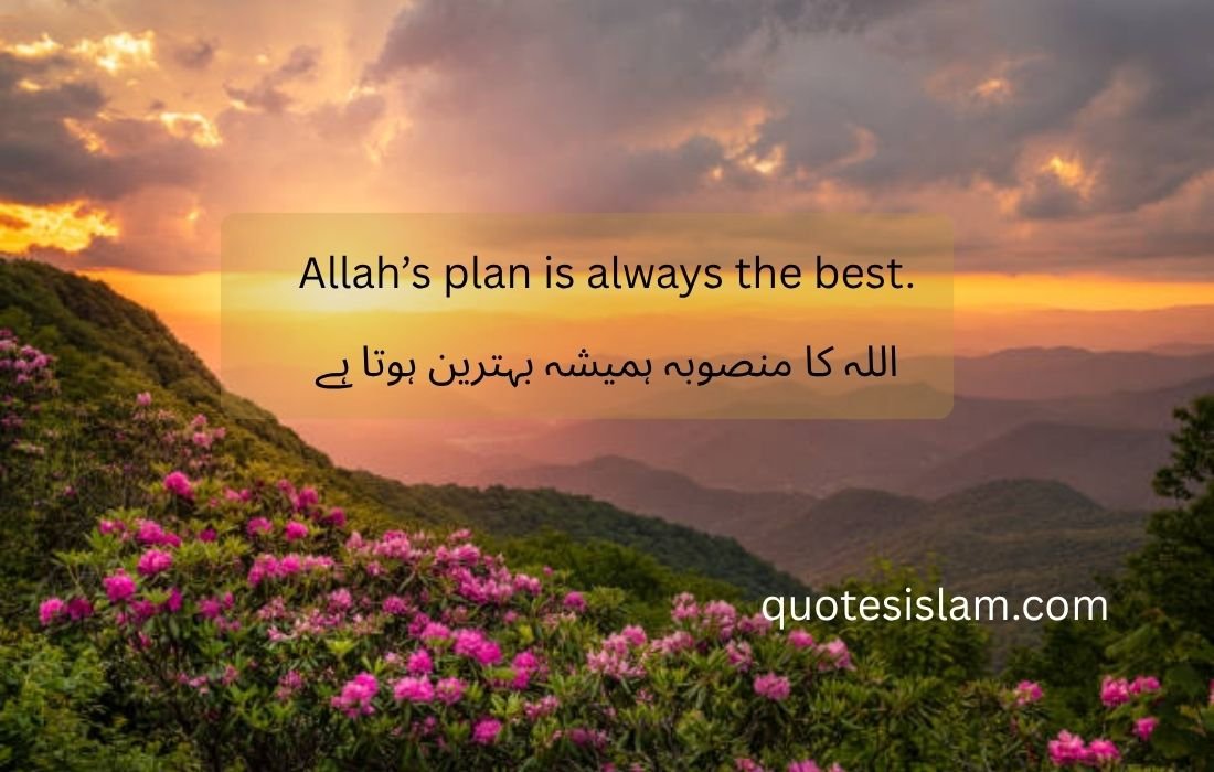 Allah’s plan is always the best.