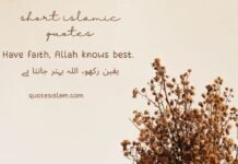 Short Islamic Quotes for Instagram (Urdu+ English) Have faith, Allah knows best.