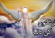 فرشتوں کی دنیا فرشتوں کی دنیا