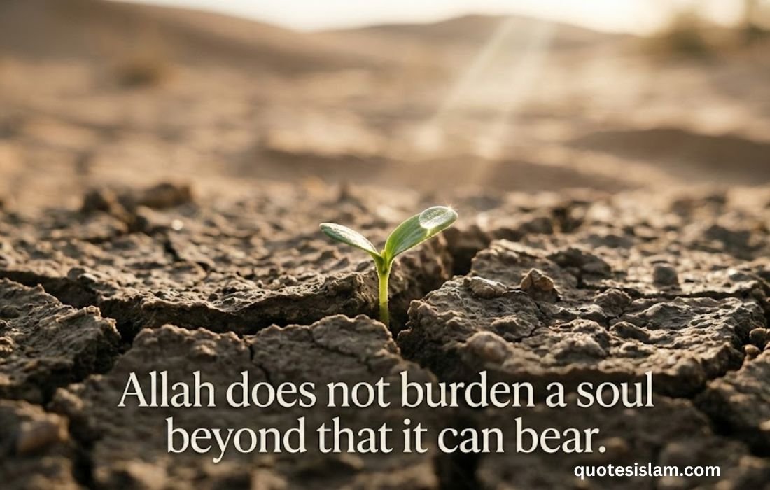 Allah does not burden a soul beyond that it can bear.