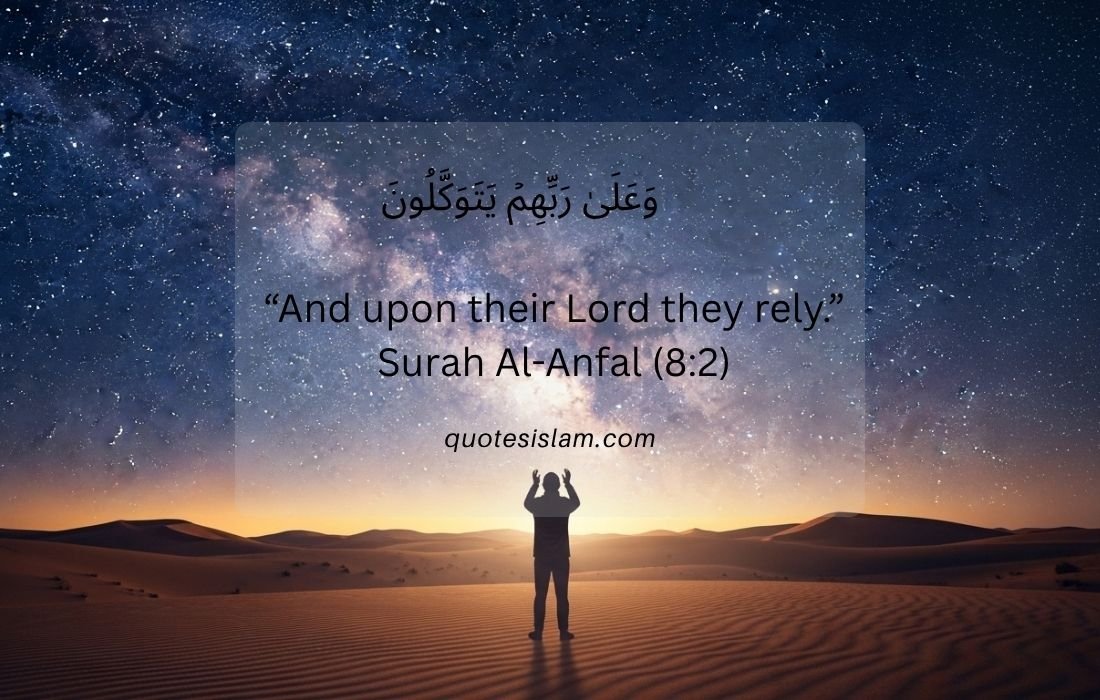 And upon their Lord they rely.