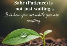 Quran Quotes about patience Sbar Patience