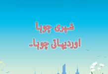 شہری چوہا اوردیہاتی چوہا۔ شہری چوہا اوردیہاتی چوہا۔