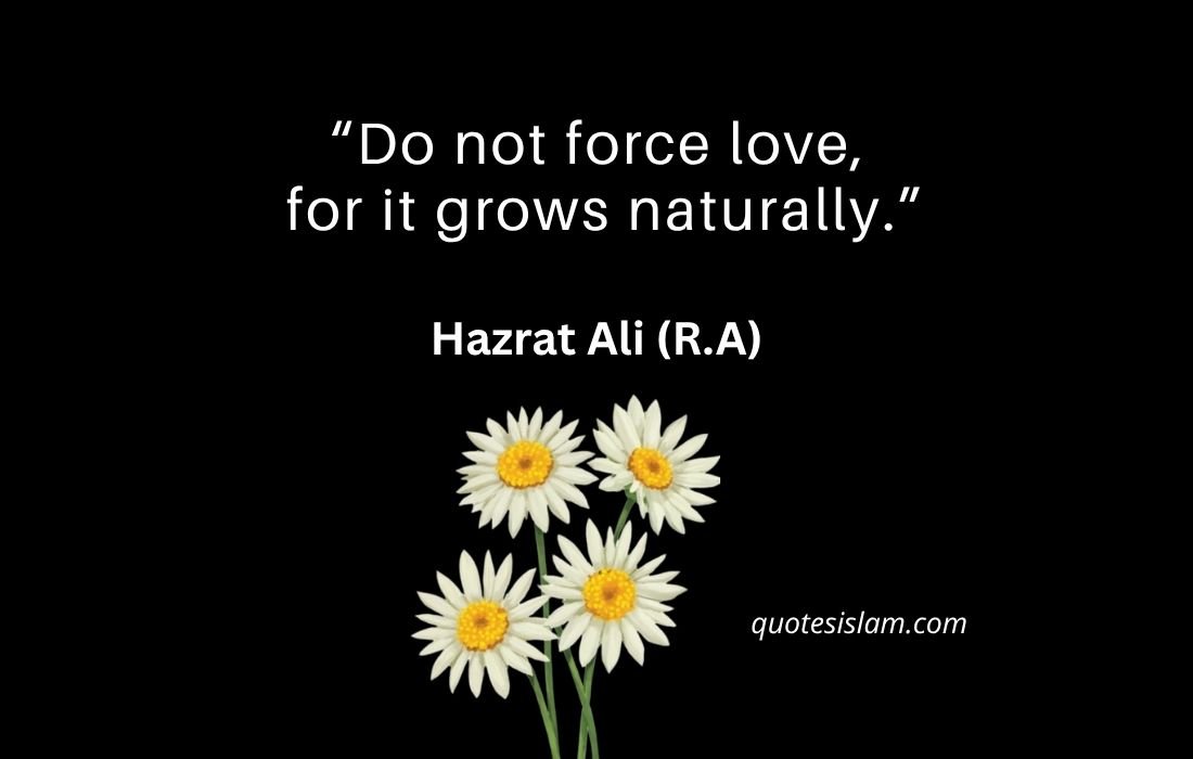 Do not force love, for it grows naturally
