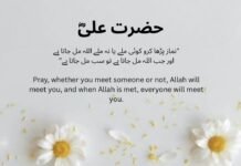 Hazrat Ali Love Quotes in English with Meaning Hazrat Ali Love Quotes