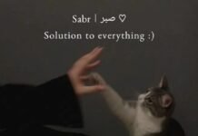 Islamic Quotes About Patience (Sabr) and Trust in Allah Islamic Quotes About Patience