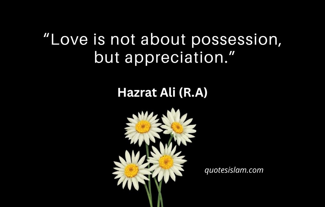 Love is not about possession, but appreciation