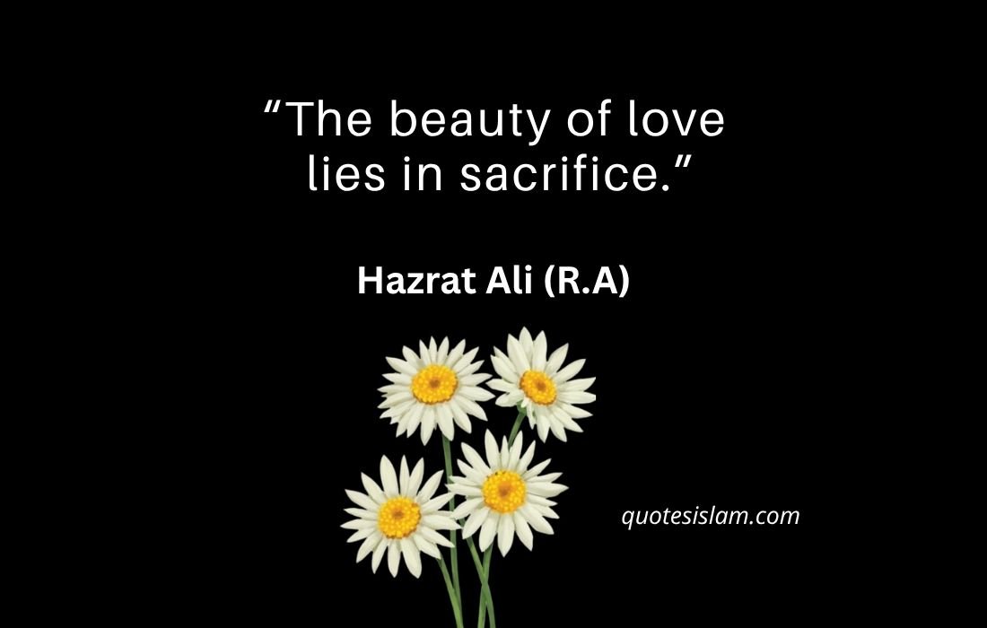 The beauty of love lies in sacrifice