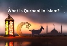 What is Qurbani in Islam? Meaning, Importance, Rules & Islamic Sacrifice Explained What is Qurbani in Islam
