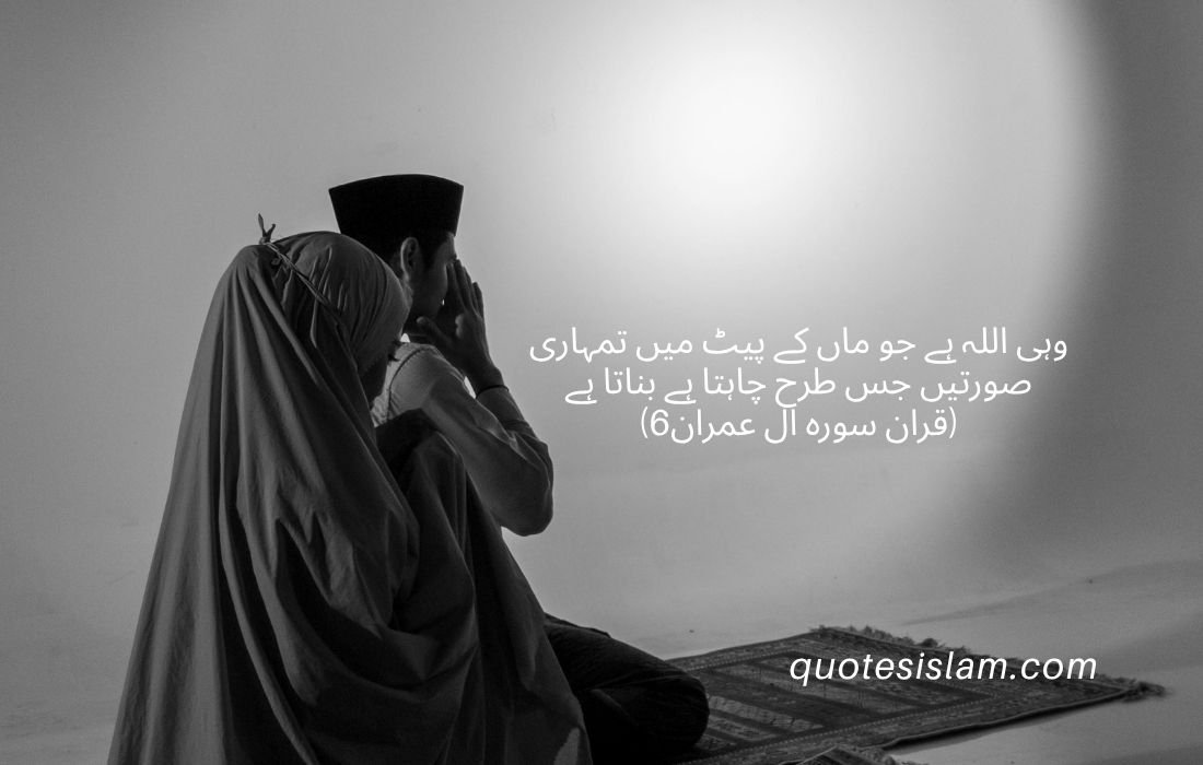 قران-سورہ-ال-عمران6