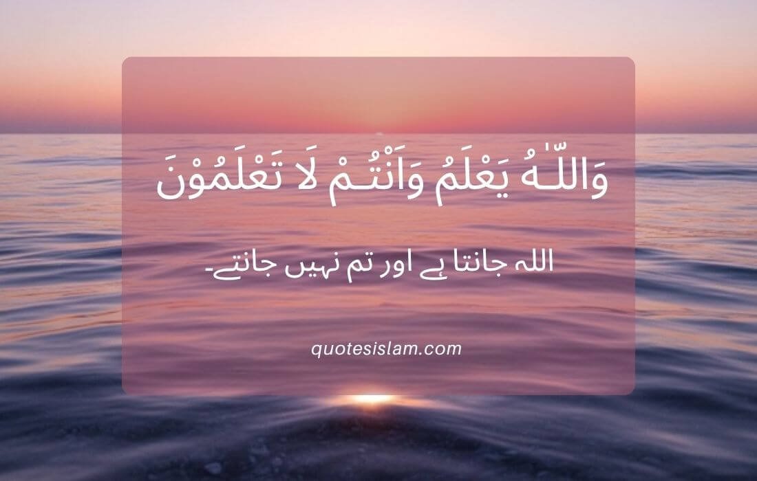 وَاللَّهُ يَعْلَمُ وَأَنتُمْ لَا تَعْلَمُونَ