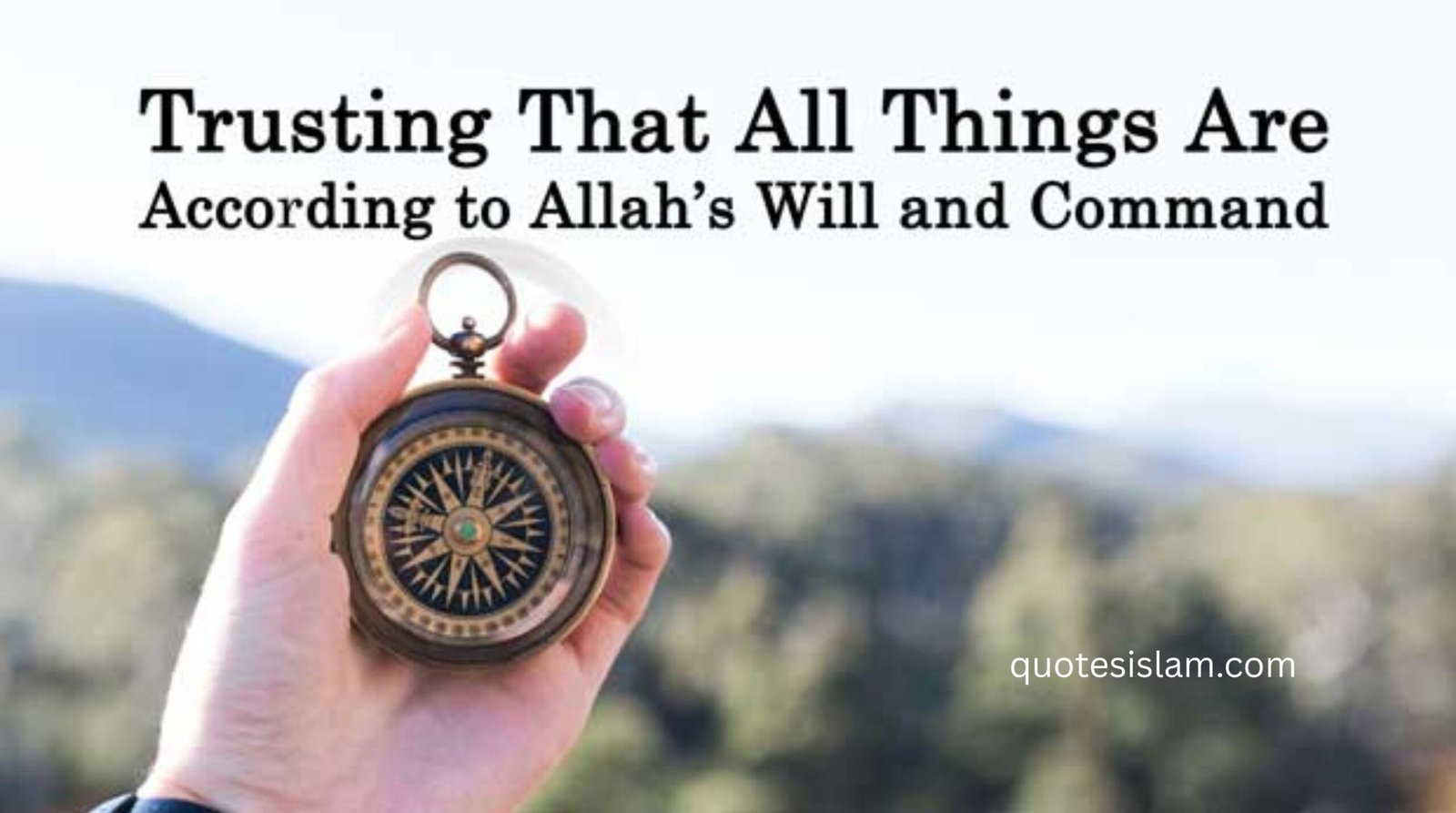 Trust in Allah